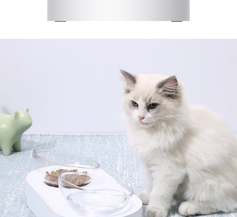 Pet Bowl Feeding Dishes Adjustable Double Feeder Bowls 4 Pet Bowl Feeding Dishes Adjustable Double Feeder Bowls 4