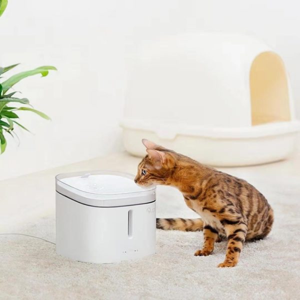 Kitten Puppy Pet Water Dispenser 2