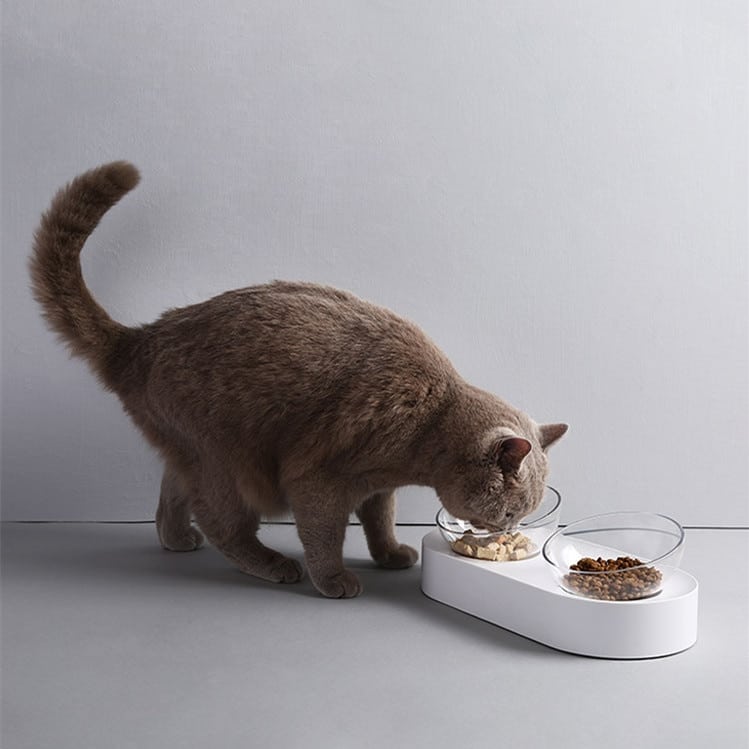 Pet Bowl Feeding Dishes Adjustable Double Feeder Bowls 3 Pet Bowl Feeding Dishes Adjustable Double Feeder Bowls 3