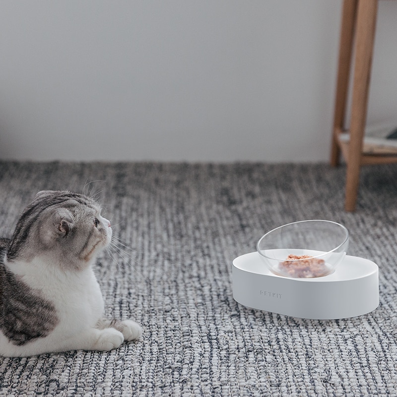 Pet Bowl Feeding Dishes Adjustable Double Feeder Bowls 6 Pet Bowl Feeding Dishes Adjustable Double Feeder Bowls 6