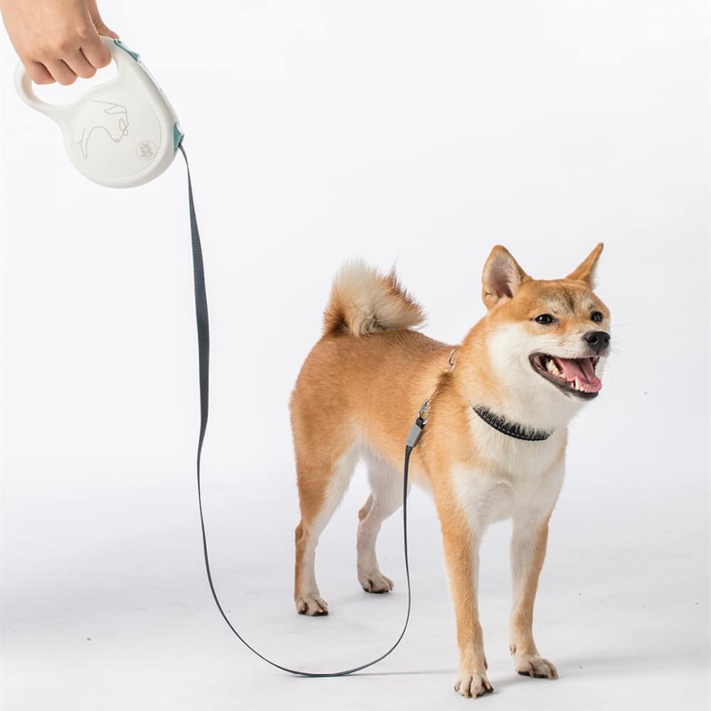 Pet Retractable 5M Traction Rope Mibai Flexible Safe Locking Automatic 3 Pet Retractable 5M Traction Rope Mibai Flexible Safe Locking Automatic 3