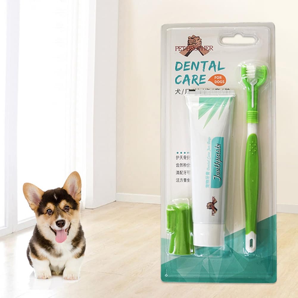 Pet Toothbrush Set Hot Puppy Vanilla/Beef Taste Toothbrush Toothpaste Dog Cat Finger Tooth Back Up Brush Care Health Supplies 4 Pet Toothbrush Set Hot Puppy Vanilla/Beef Taste Toothbrush Toothpaste Dog Cat Finger Tooth Back Up Brush Care Health Supplies 4