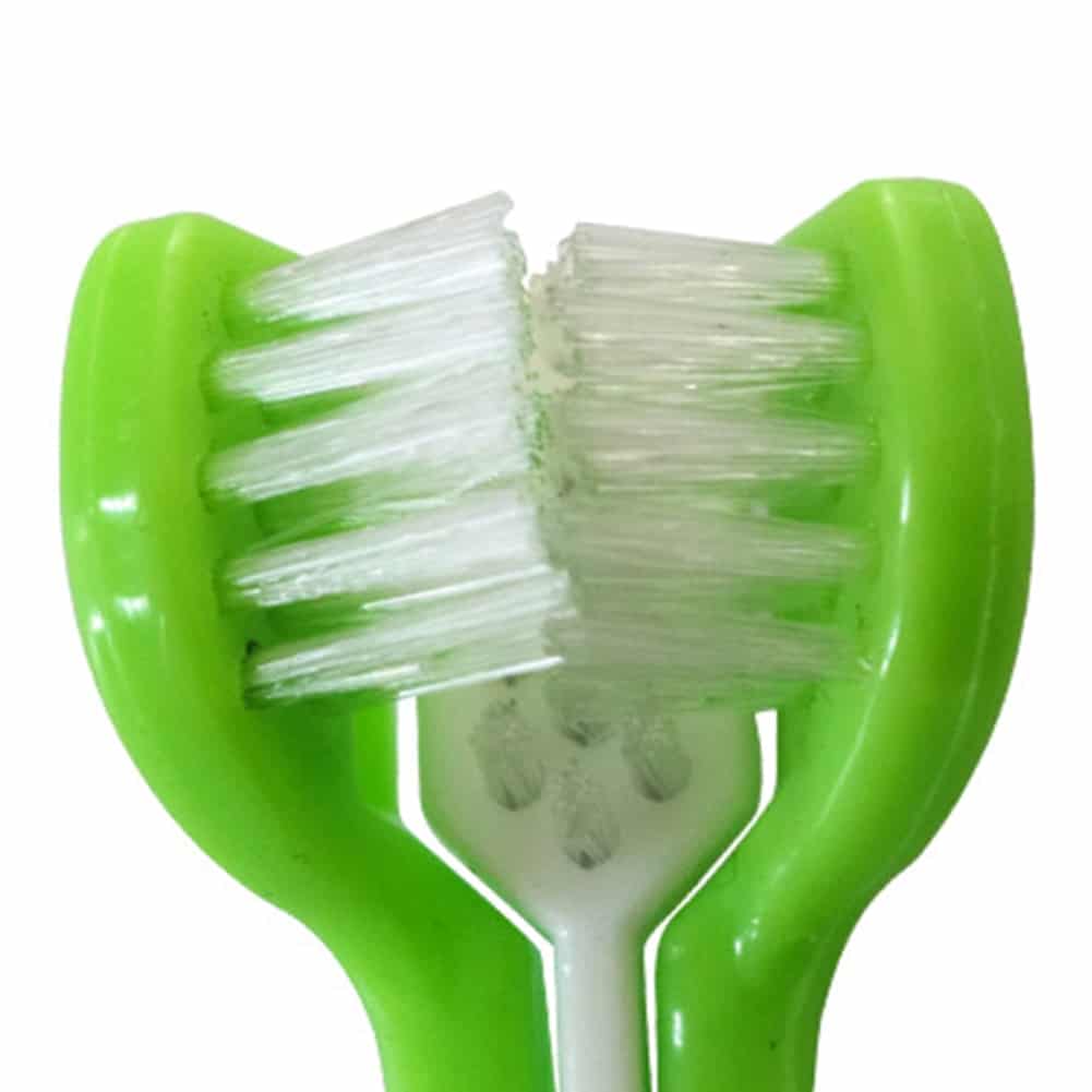 Pet Toothbrush Set Hot Puppy Vanilla/Beef Taste Toothbrush Toothpaste Dog Cat Finger Tooth Back Up Brush Care Health Supplies 6 Pet Toothbrush Set Hot Puppy Vanilla/Beef Taste Toothbrush Toothpaste Dog Cat Finger Tooth Back Up Brush Care Health Supplies 6