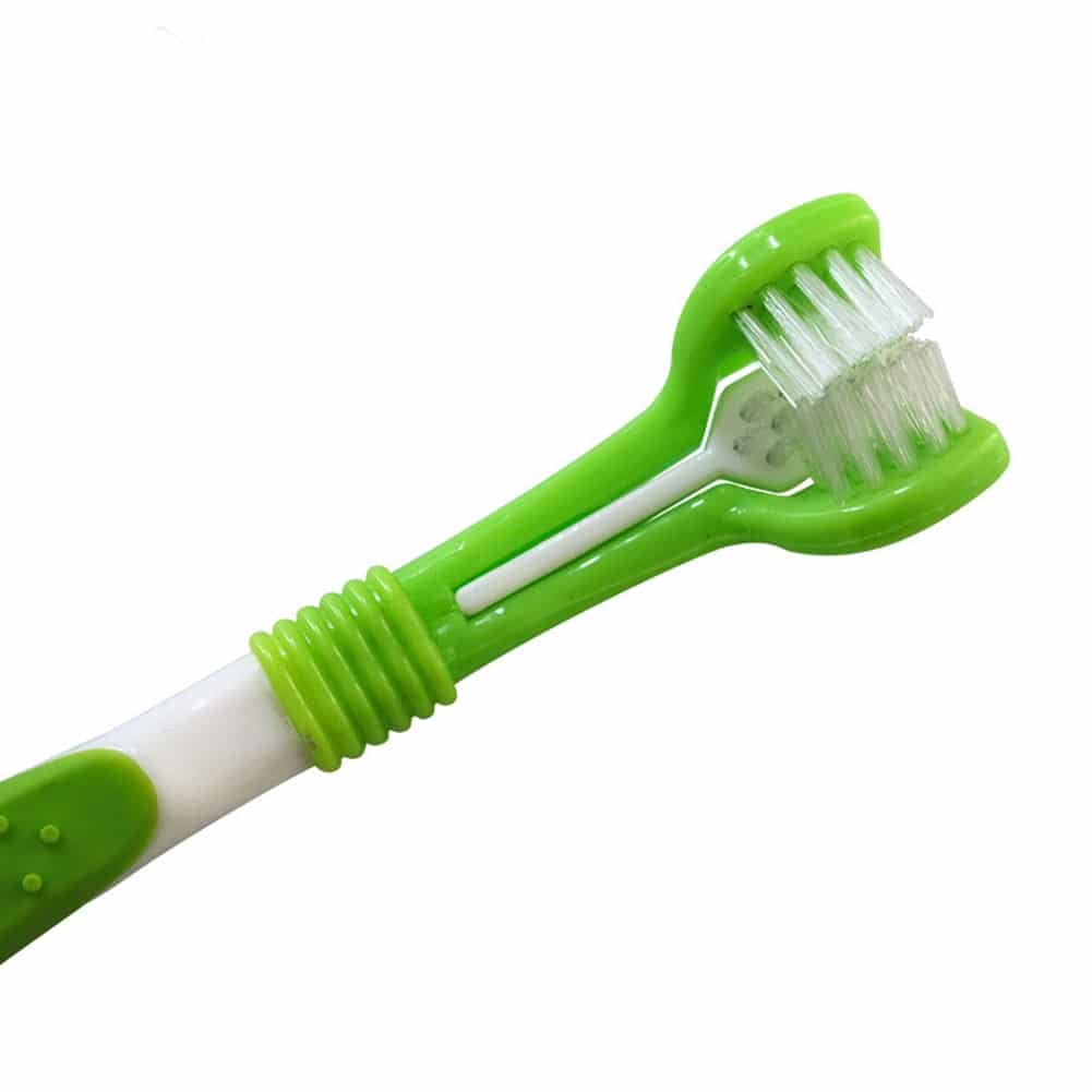 Pet Toothbrush Set Hot Puppy Vanilla/Beef Taste Toothbrush Toothpaste Dog Cat Finger Tooth Back Up Brush Care Health Supplies 5 Pet Toothbrush Set Hot Puppy Vanilla/Beef Taste Toothbrush Toothpaste Dog Cat Finger Tooth Back Up Brush Care Health Supplies 5